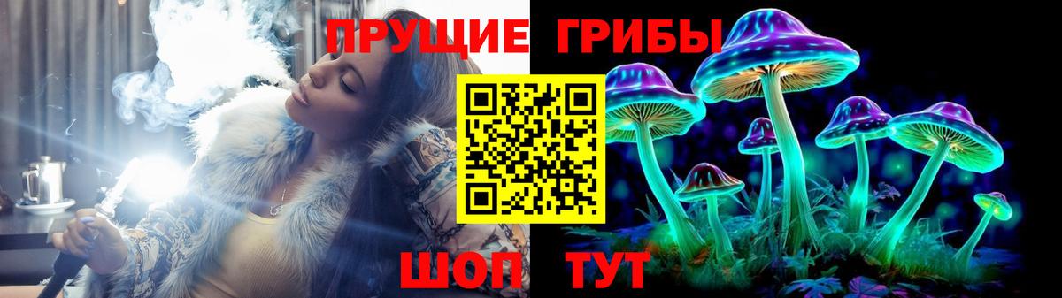 купить  цена  Вход с VPN  Зеленодольск  Псилоцибиновые грибы Psilocybe 